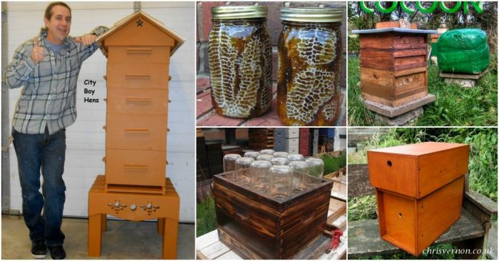 Bee hives honey beehive nuc nucleus colonies beehives beekeepclub